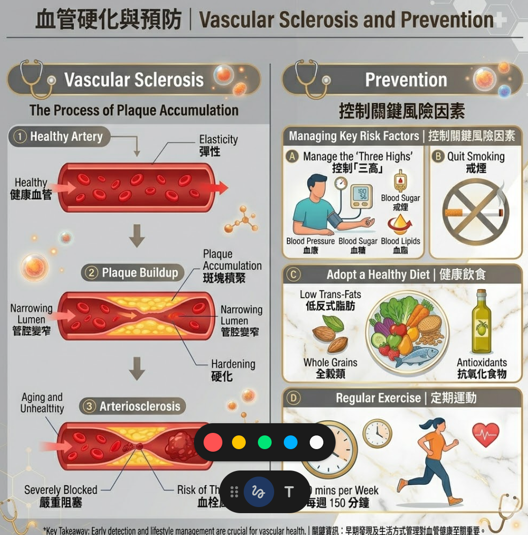 血管硬化與預防